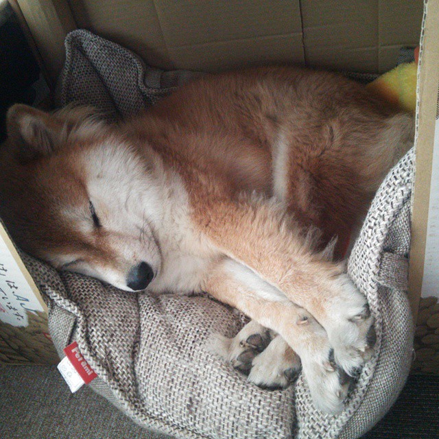 德甲：勒沃库森3-2逆转弗赖堡，恩昆库表现出色，勒沃库森 vs 法兰克福