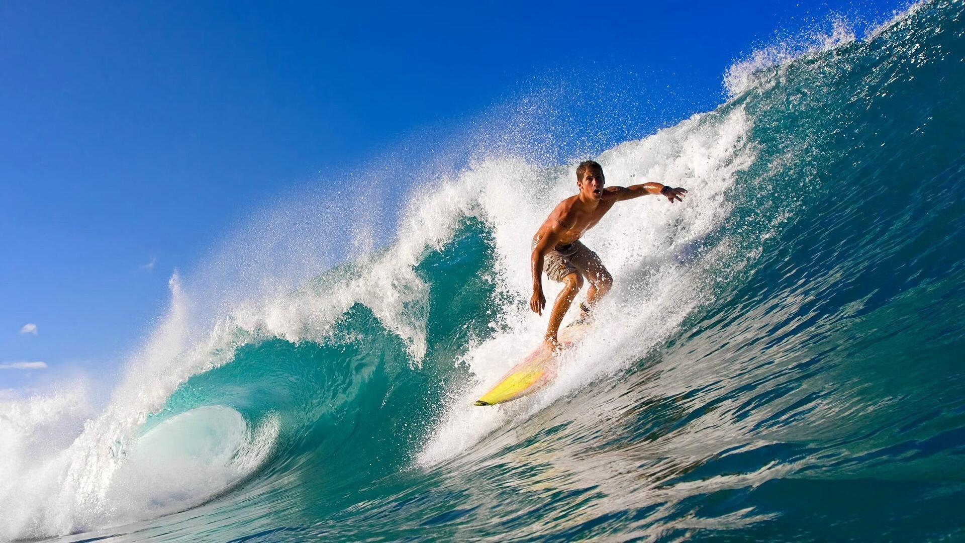 帕利斯特稳健发挥赢得掌声不断，帕利斯把写有给最美的女神