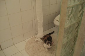 爱游戏体育APP下载-“战术新玩法：联盟中的创新打法大揭秘”，联盟新模式