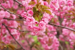 爱游戏体育-“战术变化：比赛中的智慧博弈”，比赛战术名词解释