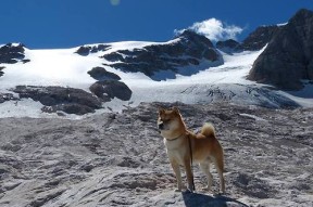 爱游戏娱乐-意大利举重选手在男子比赛中获得银牌，意大利举重选手在男子比赛中获得银牌的是谁
