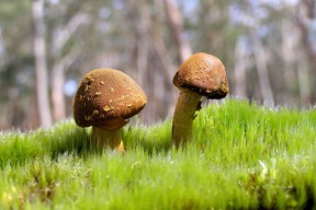 爱游戏娱乐网址-室外极限：极地与火山地带的惊人赛站，户外极限运动品牌