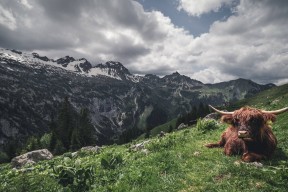 爱游戏中国官方网站平台-《全球电竞行业投资风向：资本关注的热门赛道》，电竞 投资