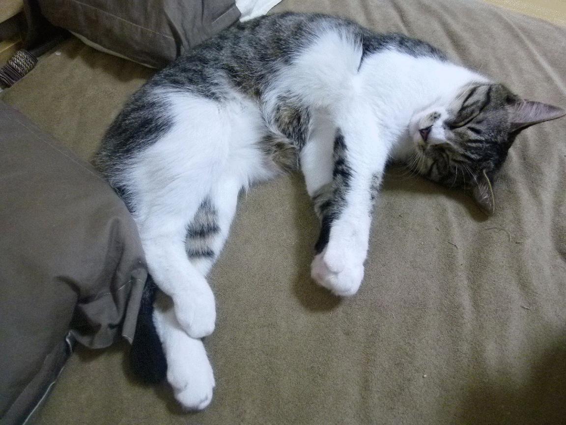 团队协作:完美配合助推胜利的绝佳法宝,团队协作句子经典语录